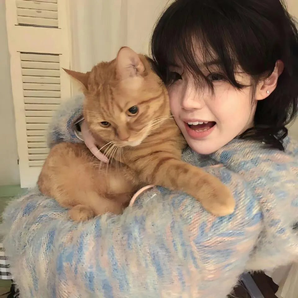 王冠的游戏：都铎家族