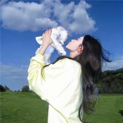 哥斯拉之机械哥斯拉的反击